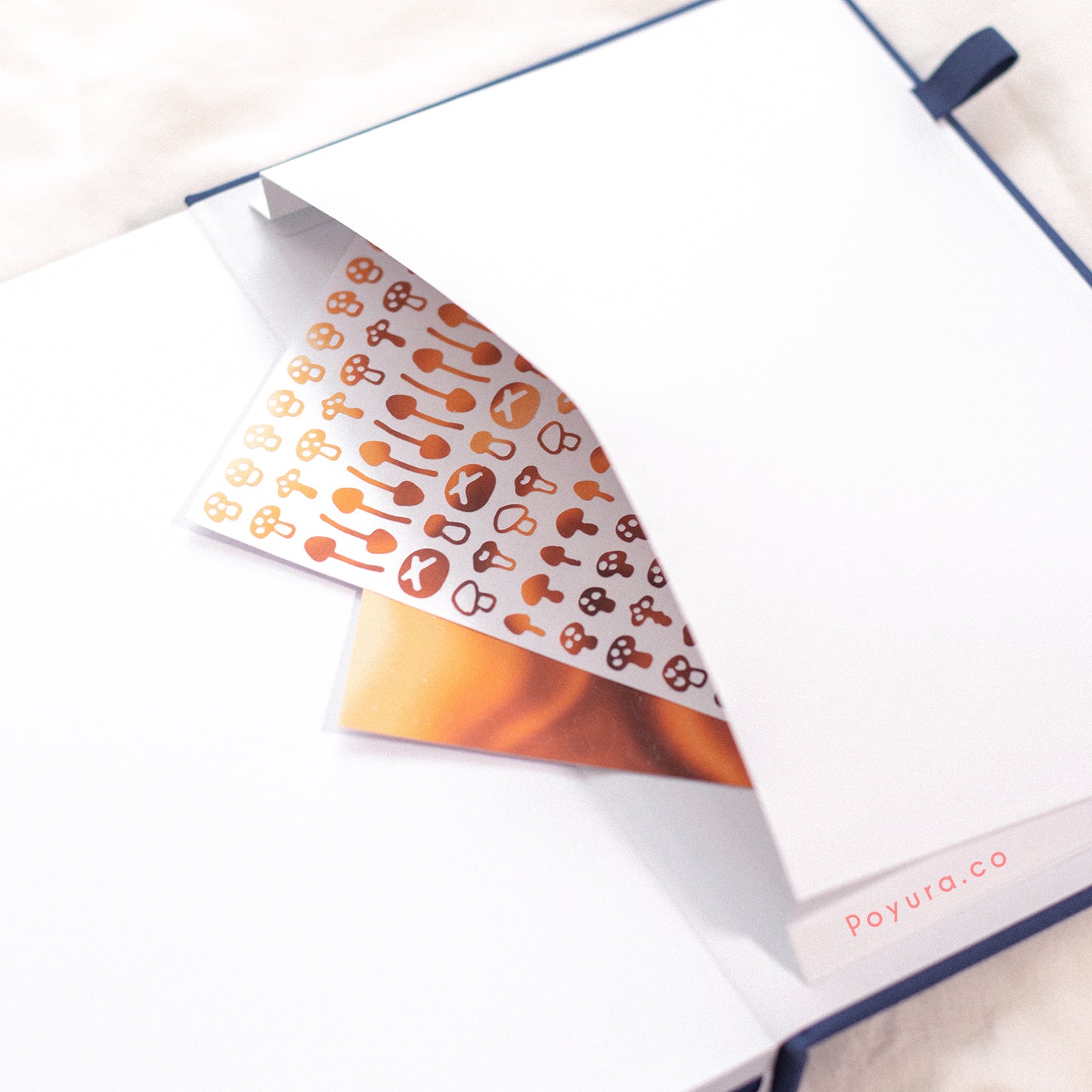 The back pocket of the A5 notebook is big enough to store your stickers