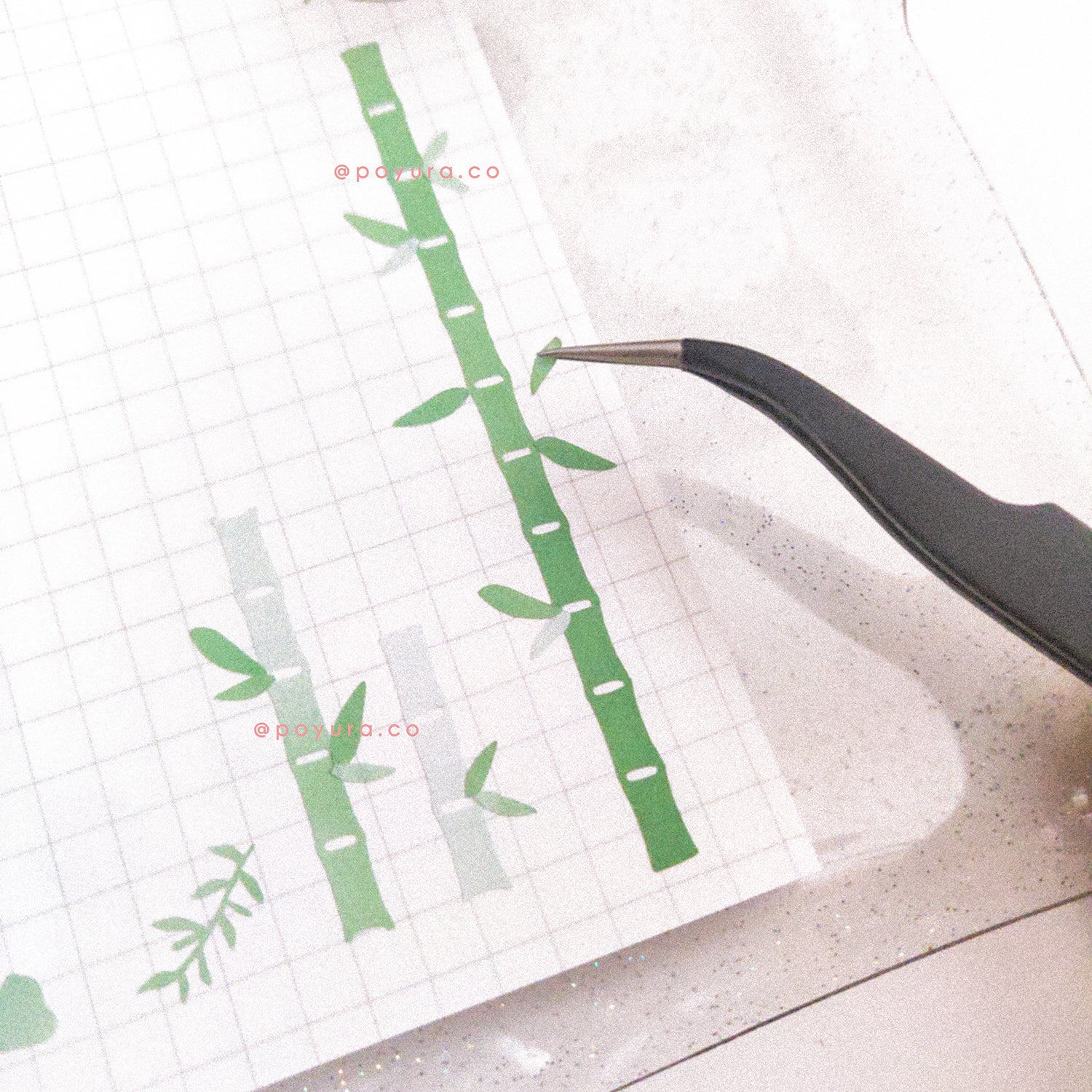 Borderless sticker with bamboo cutouts in different green tints