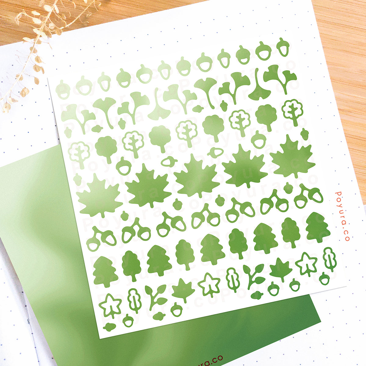 Borderless sticker with leaf and acorn cutouts in different green tints