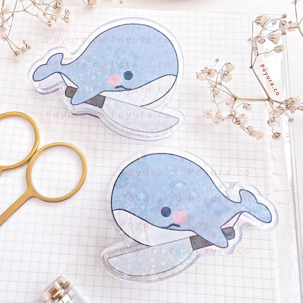 Whale Binder Clip