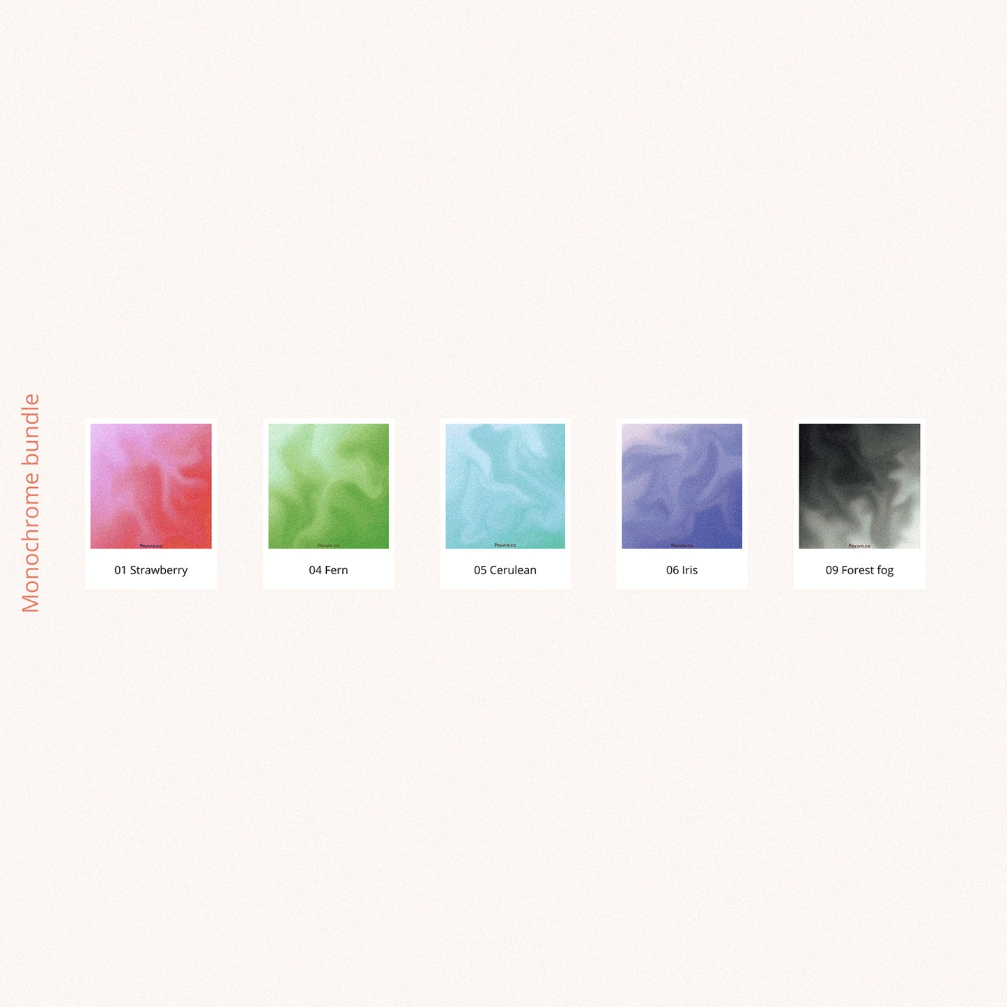 Monochrome deco sticker bundle with 5 colorways