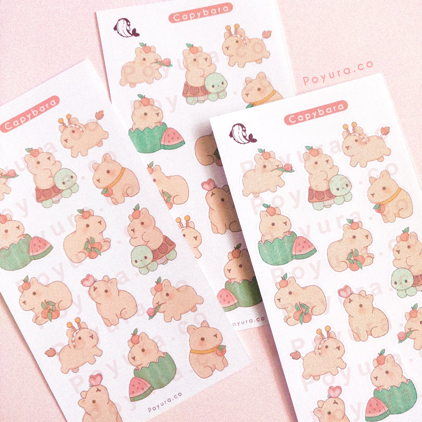 Capybara friends Japan watermelon food aesthetic cute polco deco kpop journal toploader sticker sheet
