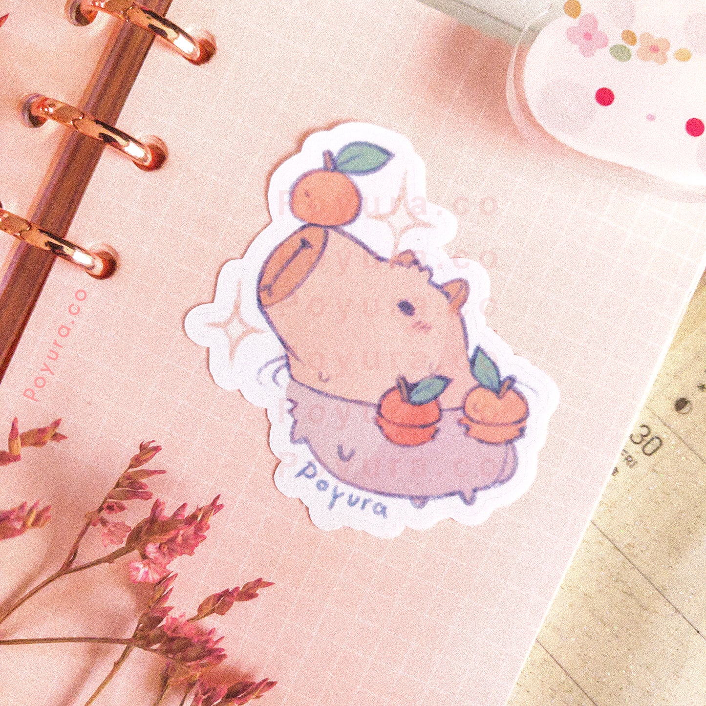 Aesthetic cute pink capybara orange yuzu citrus lemon animal bathing Japan polco deco kpop journal bujo penpal toploader sticker flake die cut