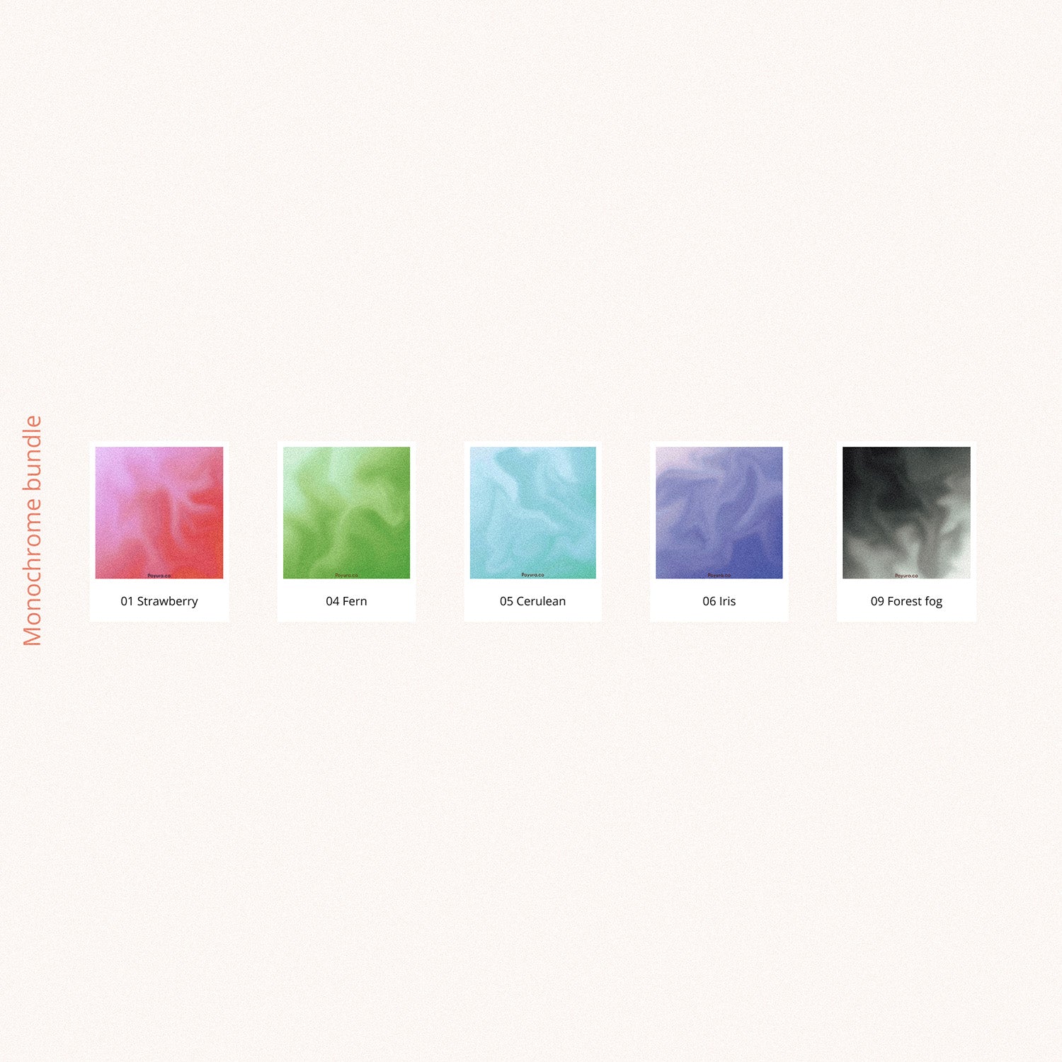 Monochrome deco sticker bundle with 5 colorways